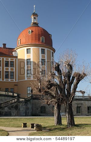 The Castle of Moritzburg