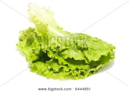 Butterhead sallad