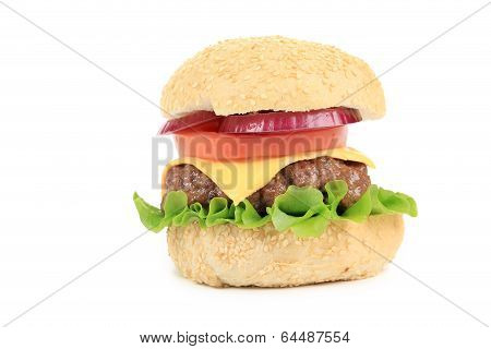 Appetizing fast food hamburger.