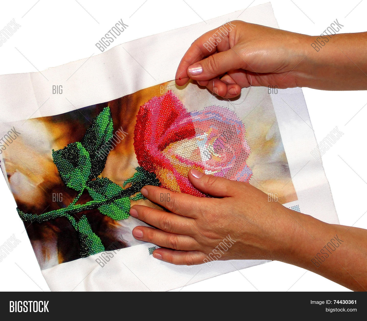 Image Preview