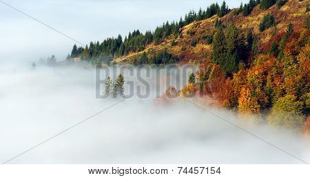 Autumn Landscape