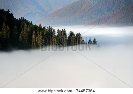 Autumn Landscape