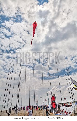 Red Kite Flies Over The Beach