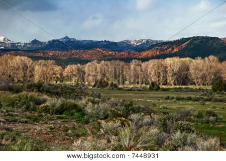 Táj, Utah