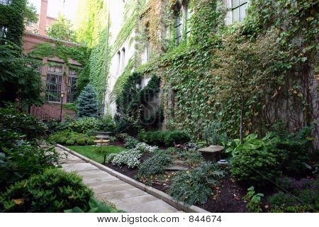 Lush Boston Garden