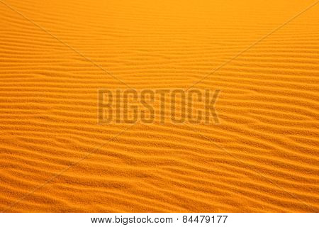In The Yellow