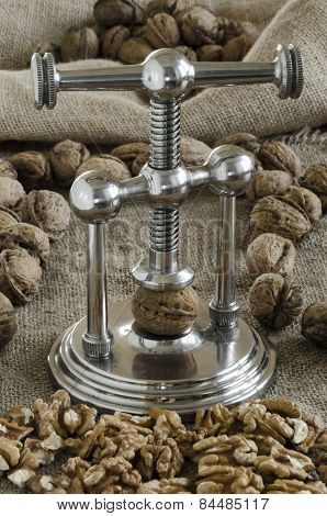 nutcracker and walnuts in shell