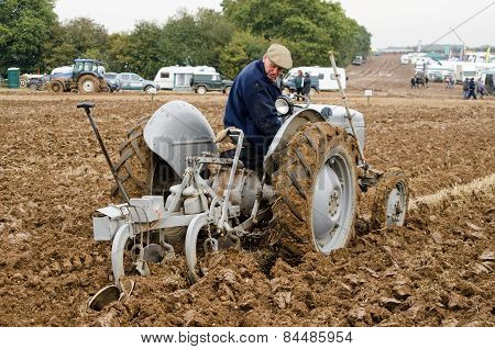 Ploughing Championship - Vintage Tractor