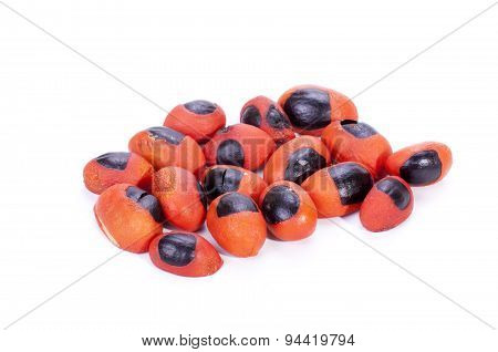 Bright Red And Black Seeds Of The Natal Mahogany Tree