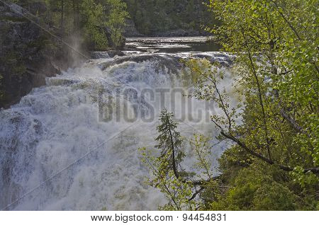 Small Spruce Above A Large Waterfall