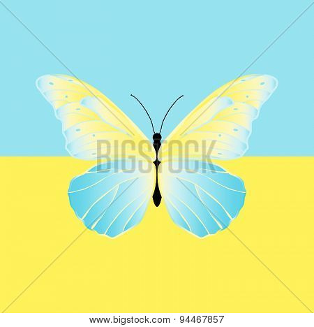 Butterfly on the flag of Ukraine.