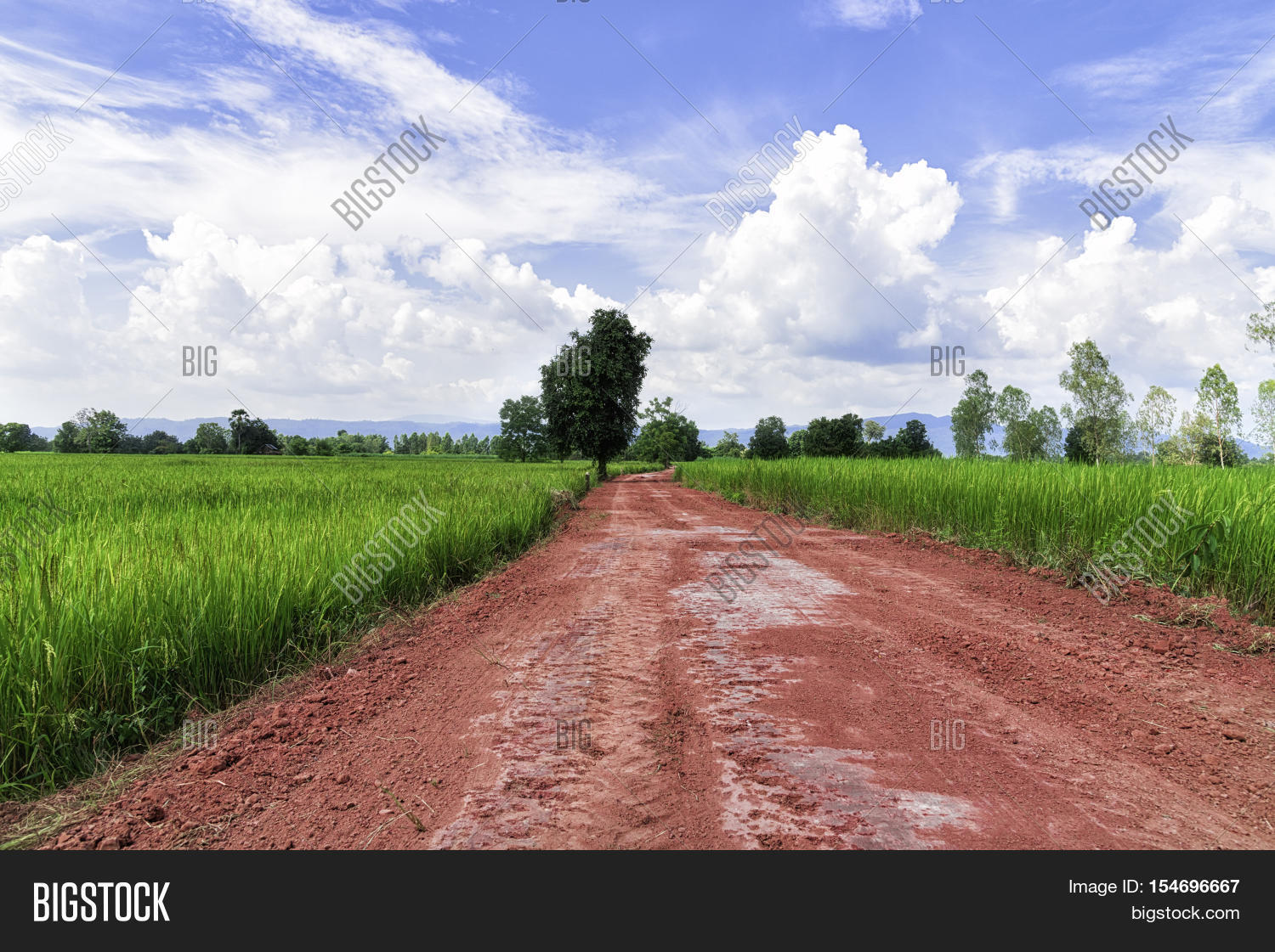 Red Road Through Image & Photo (Free Trial) | Bigstock