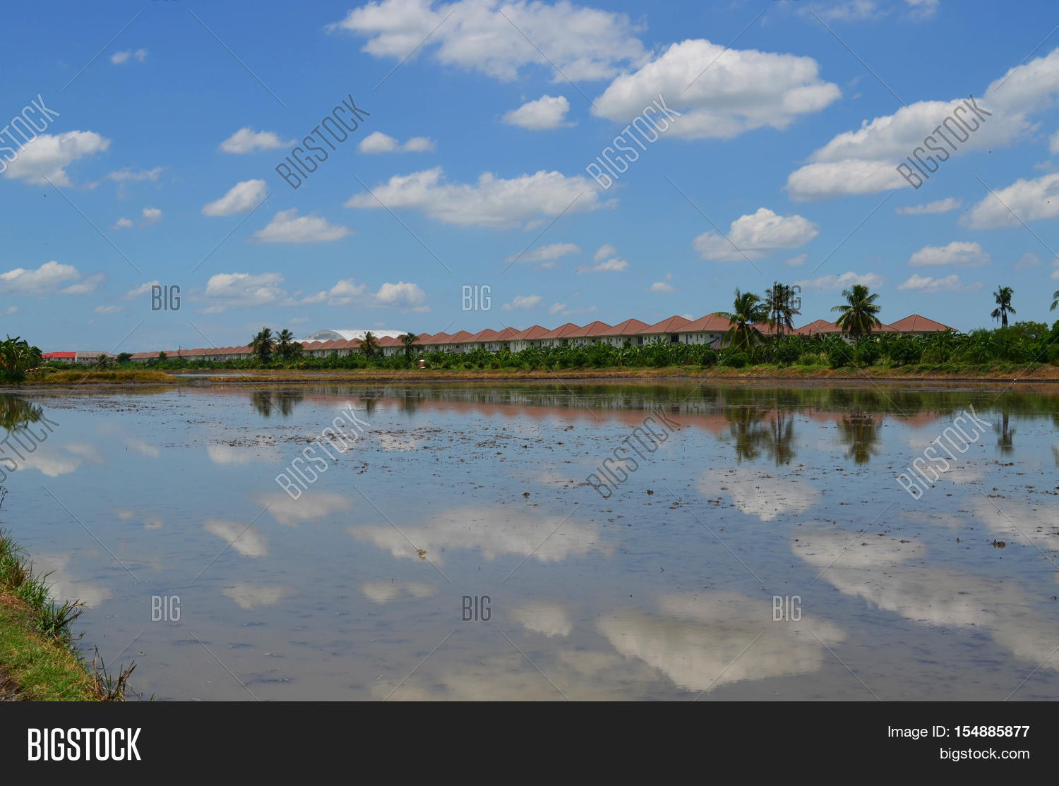 Empty Rice Fields Empty Rice Field Image & Photo (Free Trial) | Bigstock