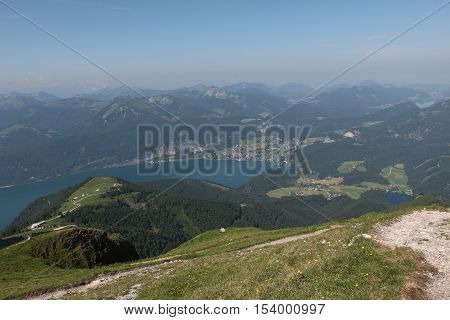 Schafberg, Austrian Alps / Colorful species in the area of Schafberg (Austria)
