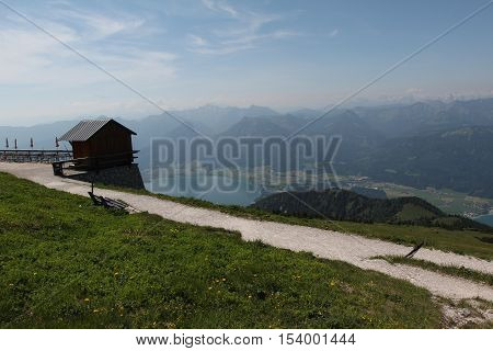 Schafberg, Austrian Alps / Colorful species in the area of Schafberg (Austria)