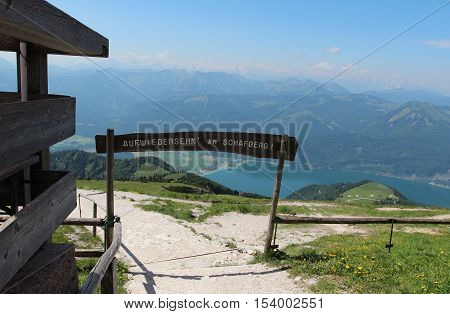 Schafberg, Austrian Alps / Colorful species in the area of Schafberg (Austria)