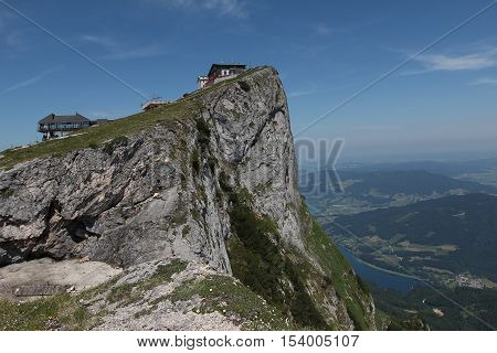Schafberg, Austrian Alps / Colorful species in the area of Schafberg (Austria)