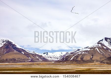 Birds flying in V formation between mountains in arctic summer landscape . Clouds over mountains covered with snow in the cold arctic environment at Svalbard.