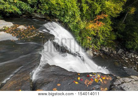 Maryland's highest free-falling waterfall the 53-foot (16 m) Muddy Creek Falls is found just upstream from the creek's confluence with the mighty Youghiogheny River.