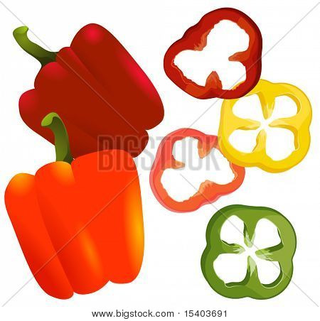 Paprika. Vektor.