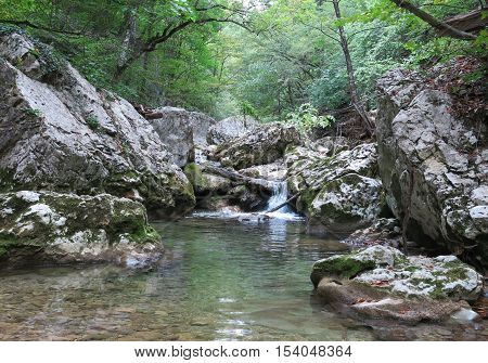 mountain river in the bottom of the canyon in a forest