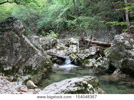 mountain river in the bottom of the canyon in a forest
