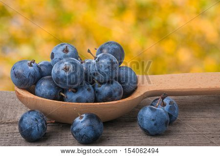 blackthorn berries in a wooden spoon on table with blurred background.