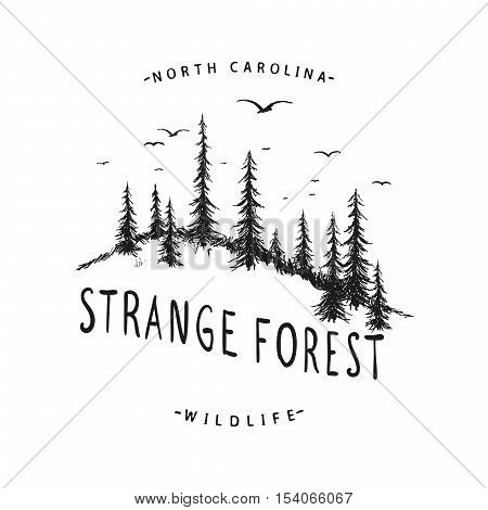 Graphic label with landscape of forest and flying birds. Hand drawn vector illustration