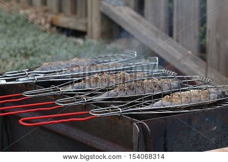 Fish grill / There are fish on the grill and grilled. An raw freshwater fish on the grill. Cooked in traditional style. Cooking of salted fish on a grill stove.
