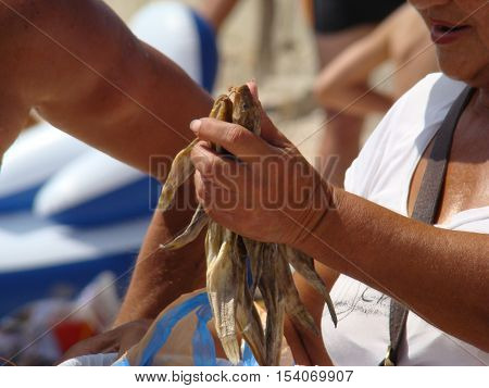 trade dried fish on the coastsmall business local population