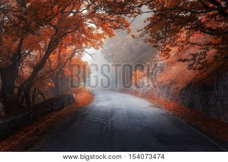 Mystical Autumn Red Forest With Road In Fog