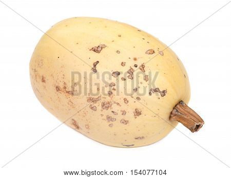Amish farm butternut squash isolated on white background