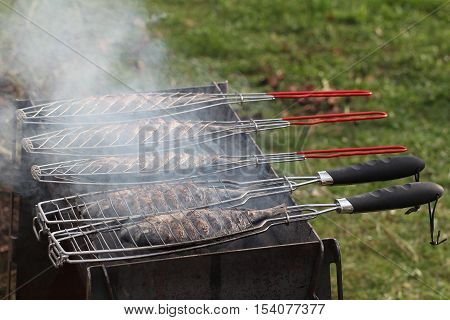 Fish grill / There are fish on the grill and grilled. An raw freshwater fish on the grill. Cooked in traditional style. Cooking of salted fish on a grill stove.
