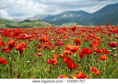 Castelluccio of Norcia a town in the national park of the Sibillini mountains in Italy. City destroyed by an earthquake in October 30 2016