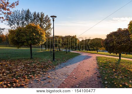 Beautiful colors of autumn in the park at sunset