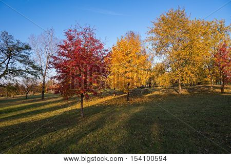 Beautiful colors of autumn in the park at sunset