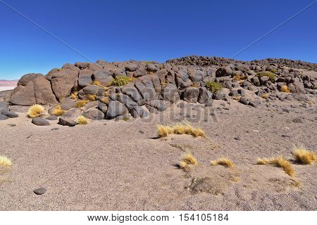 Rocks formation with typical vegetation in the Atacama desert.