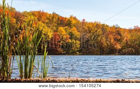 Fall foliage on a reservoir in New York State's Catskill region