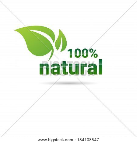 Eco Friendly Organic Natural Product Web Icon Green Logo Flat Vector Illustration
