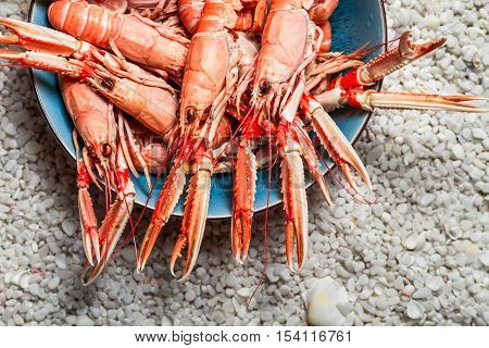 Fresh scampi served on the beach with white rocks