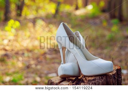 Sandals are a bride on the window wedding shoes bride