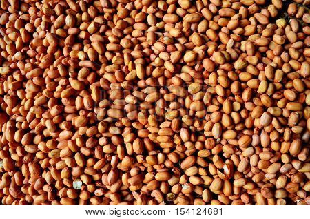 seeds peanuts are background arts absolutely beautiful