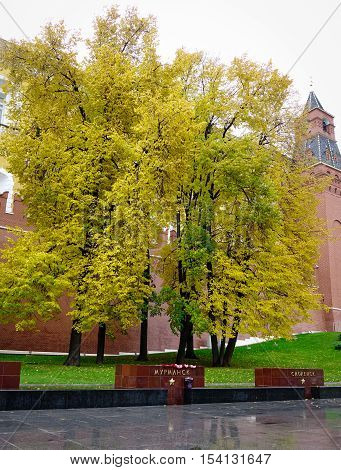 Red Square In Moscow, Russia
