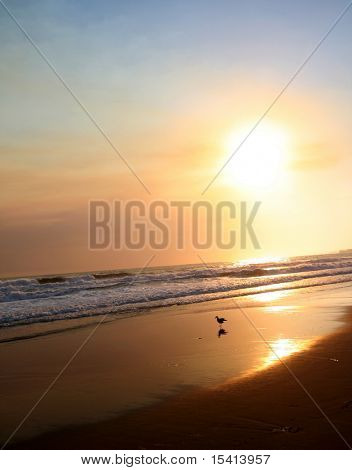 Paisible plage coucher de soleil