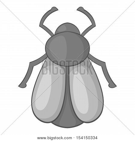 Maybug icon. Cartoon illustration of maybug vector icon for web