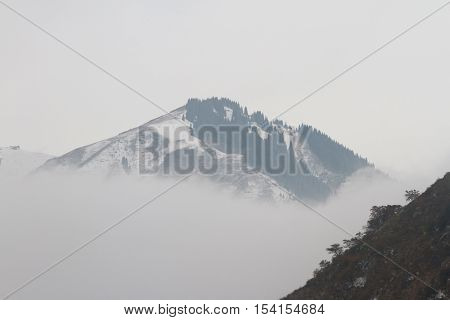 Fog In The Mountains