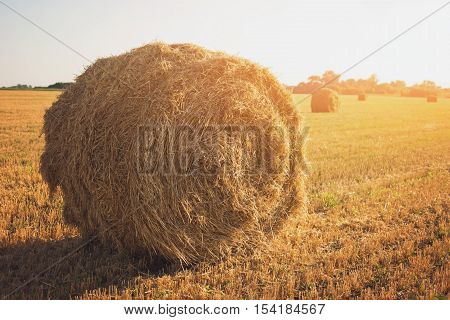 Hay bale on field. Stack of straw. Where there's soil there's work. Summer in countryside.