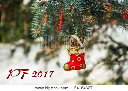 Pf 2017 - Teddy Bear And Red Sock, Christmas Toy On A Christmas