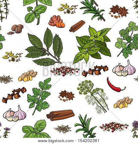 Seamless pattern of hand drawn spices and herbs, sketch style vector illustration on white background. Seamless background of spice and herb drawing, print, textile, wrapping paper design