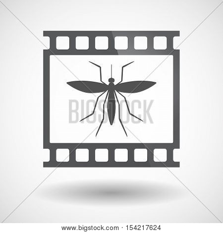 Isolated 35Mm Film Frame Slide Photogram With  A Mosquito